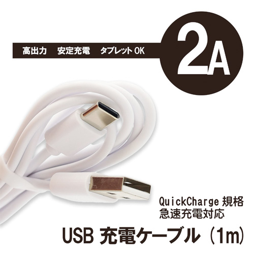 A⇔Cタイプ USB充電ケーブル 1m 2A対応画像2