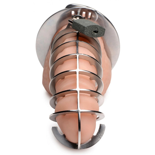 Stainless Steel Spiked Chastity Cage画像3