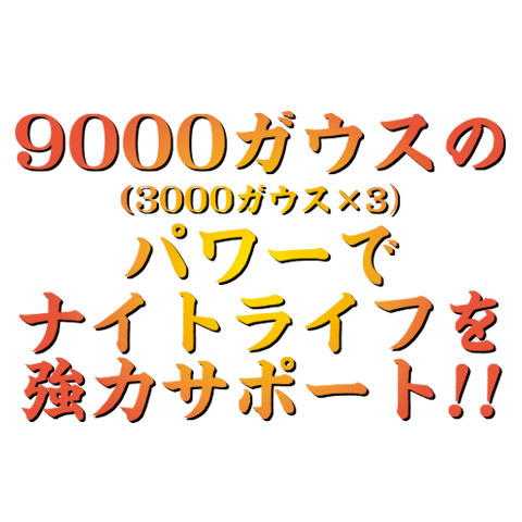 ガウス3000画像6