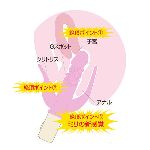 ニュードクタータイフーン画像2