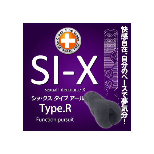 シックス タイプアール(SI-X Type.R) 画像3