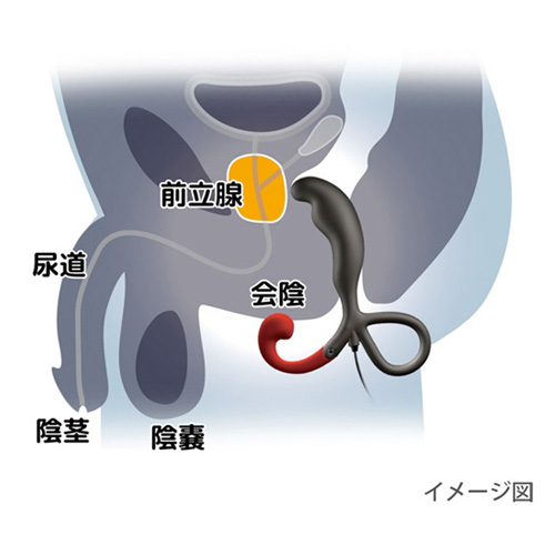 ENEMABLE Type-1画像7