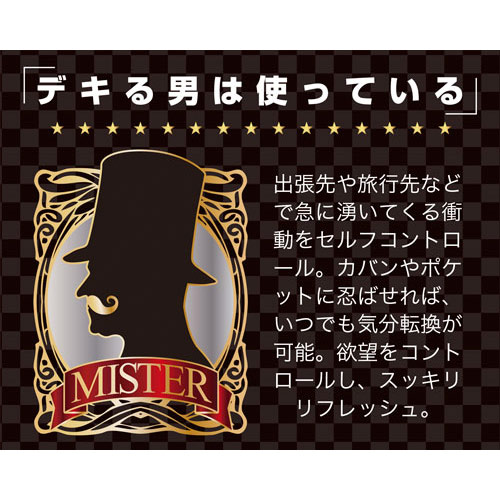 MR(ミスター)ドット画像3