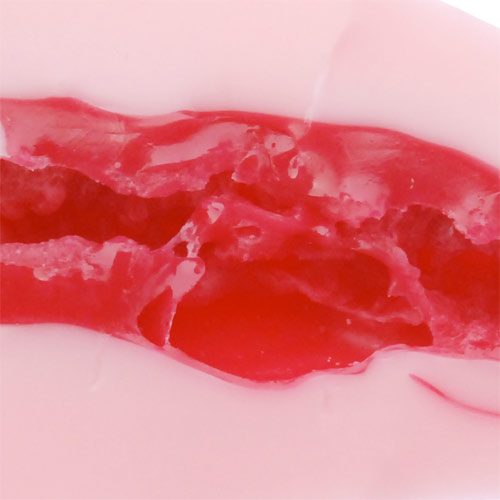 生膣式名器 チアガールの生粘膜画像3