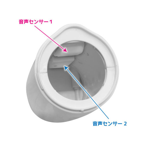 バーチャルシリーズ ラブボイス画像3