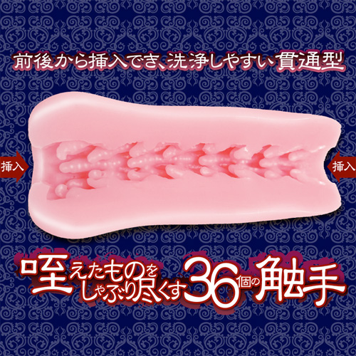 刺突する肉壁　ソフト画像2