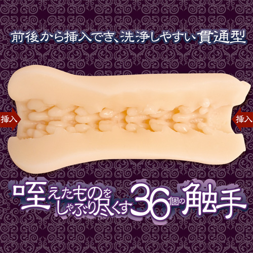 刺突する肉壁　ハード画像2