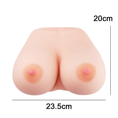 密着!!おっぱいホールド 宝田もなみ画像2