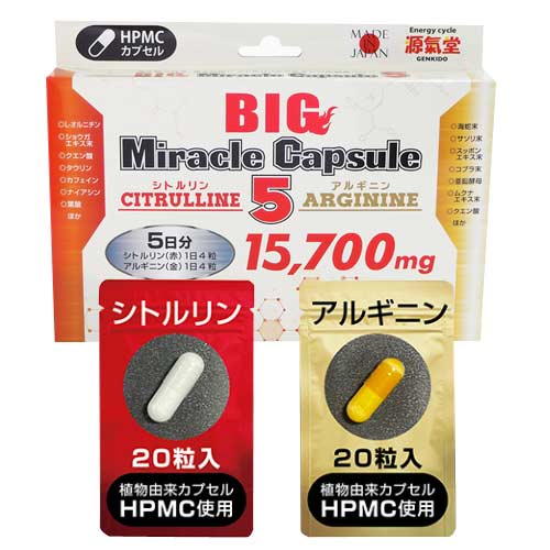 BIG Miracle Capsule ５
