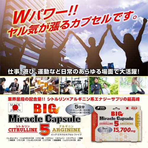 BIG Miracle Capsule ５画像7