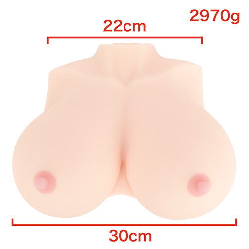人工乳房 ぱふぱふ日和3.0画像2