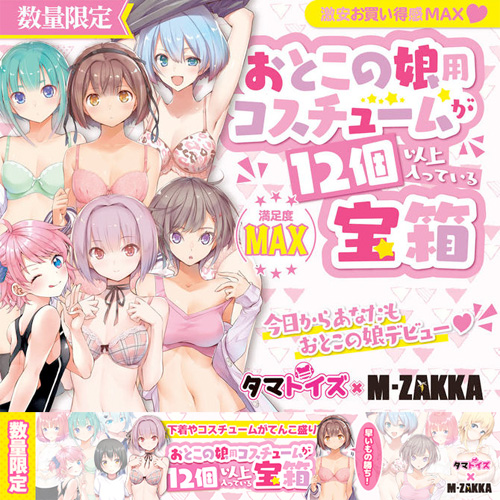 おとこの娘用コスチュームが12個以上入っている宝箱 福袋