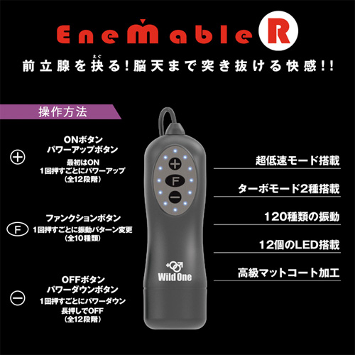 Enemable R Type-3 エネマブルR画像4