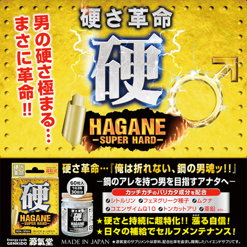 HAGANE SUPER HARD画像3
