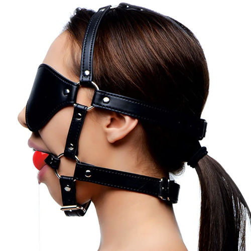 Blindfold Harness And Ball Gag画像5
