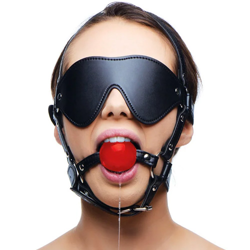Blindfold Harness And Ball Gag画像4