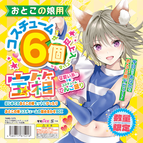 おとこの娘用コスチュームが6個以上入っている宝箱