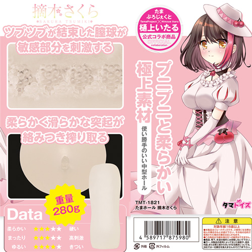 たまホール 摘木さくら画像5