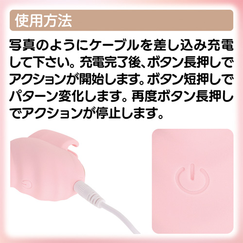 DUALADY パーフェクトタッチ画像4