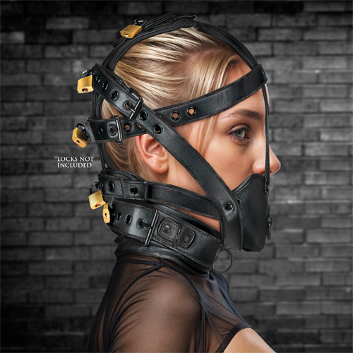 Leather Head Harness with Muzzle画像2