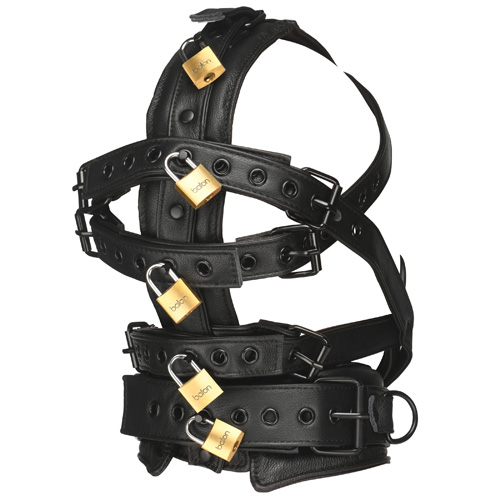 Leather Head Harness with Muzzle画像5