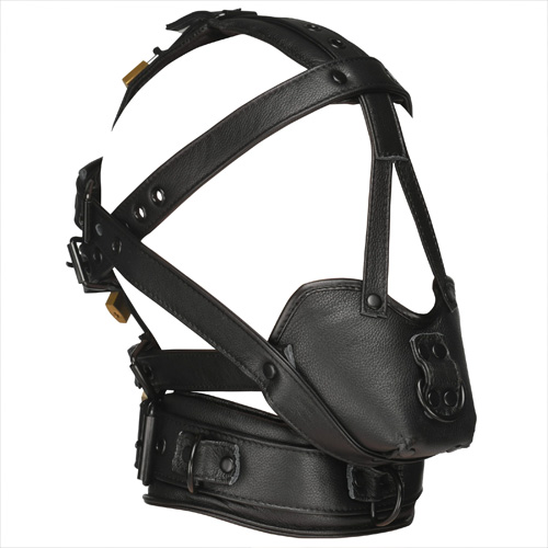 Leather Head Harness with Muzzle画像4