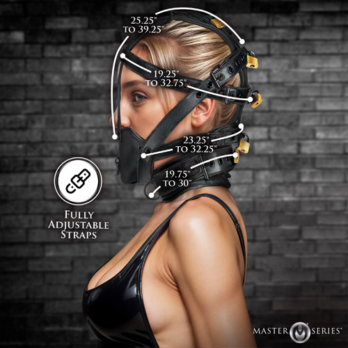 Leather Head Harness with Muzzle画像3