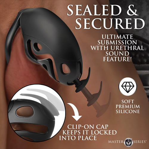 Captor Chastity Cage画像3