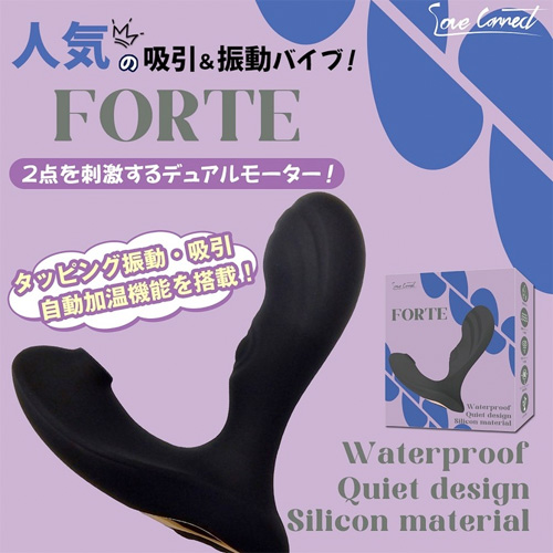 フォルテ ブラック画像2