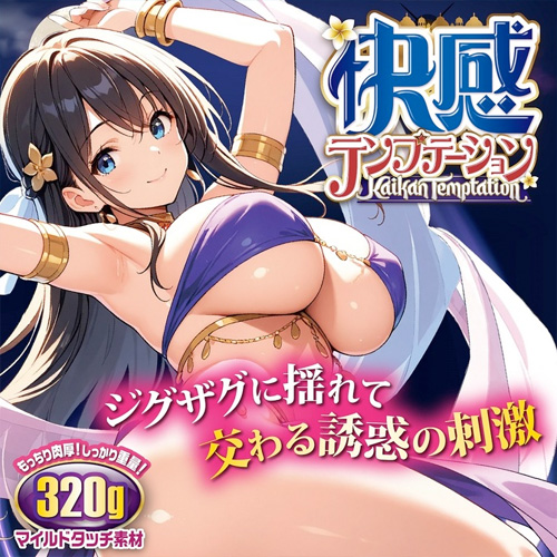 快感テンプテーション画像2