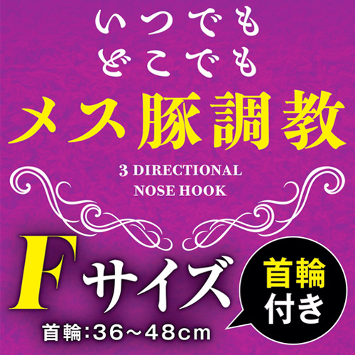 3方向鼻フック画像2