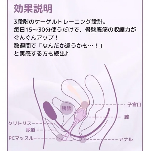 ToyCod コア美 膣トレボール 膣圧トレーニング 尿漏れ対策 初心者向け 産後ケア 骨盤底筋トレーニング画像3