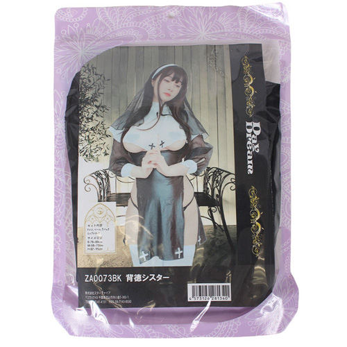 背徳シスター画像6