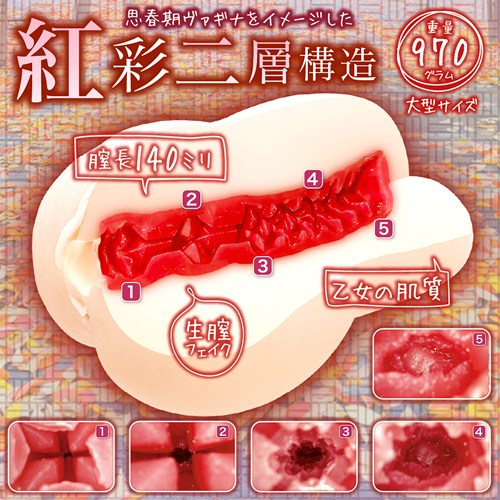 思春期サンクチュアリ画像4