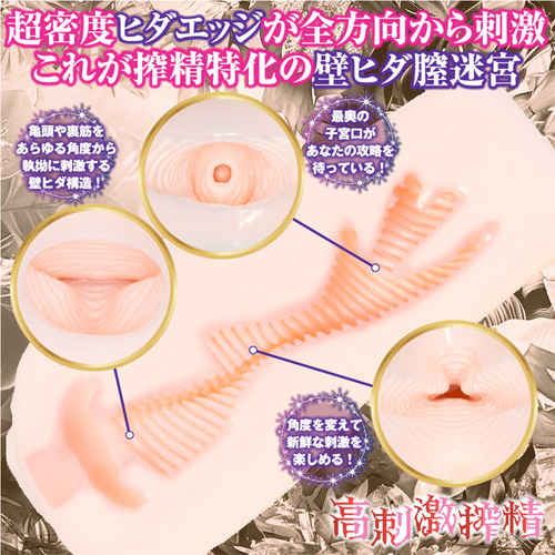 誘惑エルフの壁ヒダ膣迷宮画像2