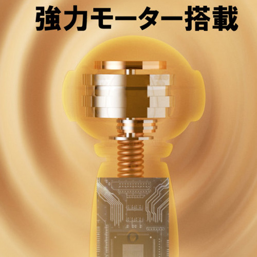 GoodSweet GSデンマ画像3