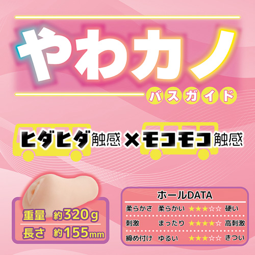 やわカノ バスガイド画像3