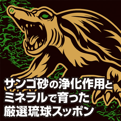 ストロングD スッポン ハードカプセル画像2