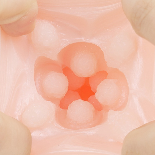 ポロンコロン画像4