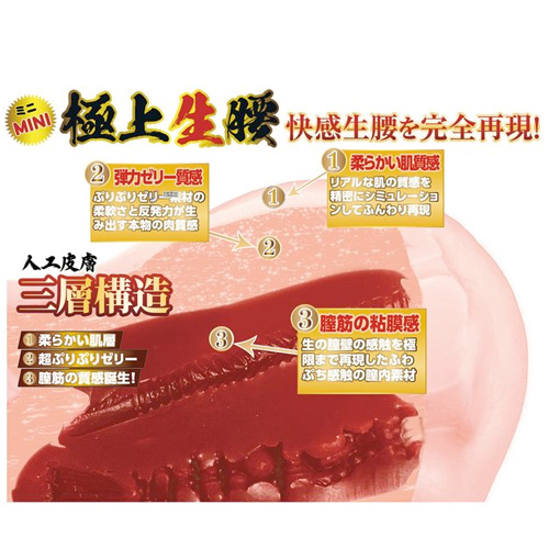 極上生腰 ミニ 森日向子画像3