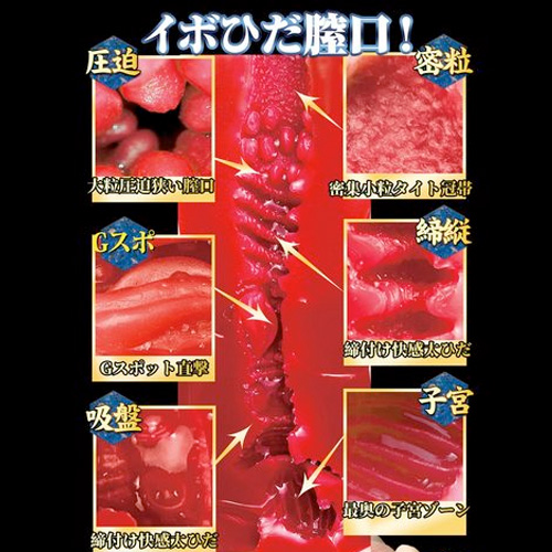 名器創生2 田中レモン画像4