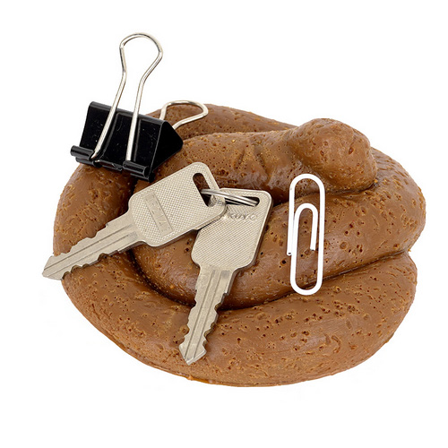 馬鹿ウンチ画像6