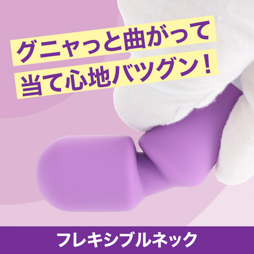 例のデンマポケット画像4