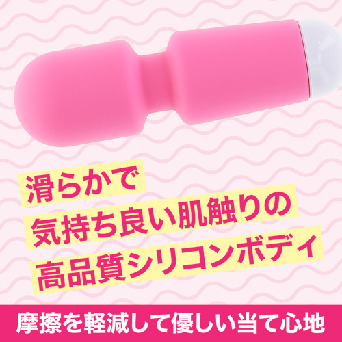 例のデンマポケット画像5