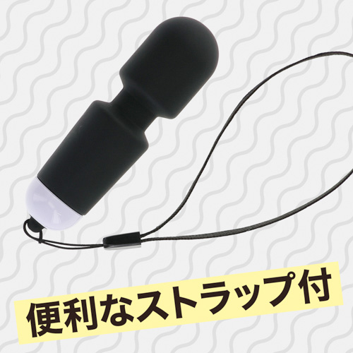 例のデンマポケット画像6