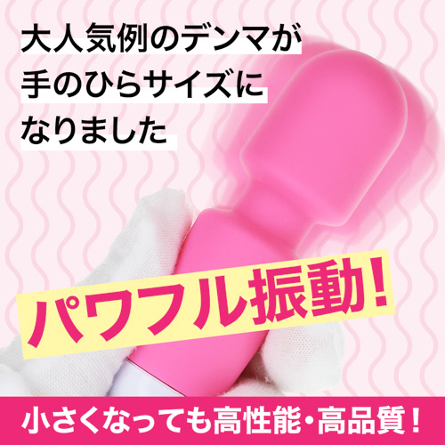 例のデンマポケット画像2