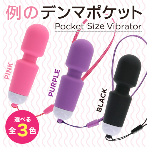 例のデンマポケット