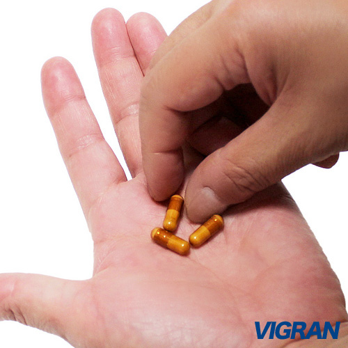 VIGRAN PLUS VIGRAN 5日分画像3