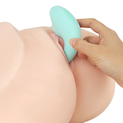 中外2点吸引式 ラ・フェアリーリュクス ダブル・アスピレーター画像6