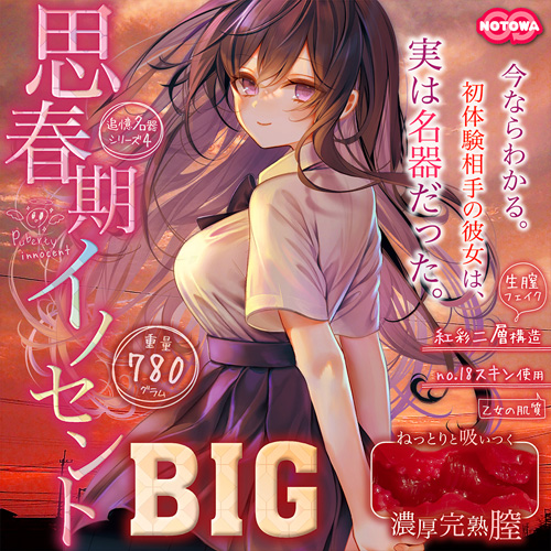 思春期イノセントBIG画像5